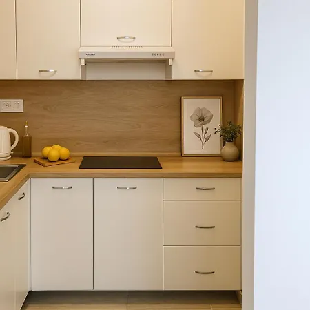 New For Relax Brandýs U Prahy Apartmán Brandýs nad Labem-Stará Boleslav
